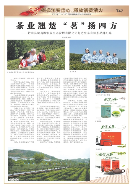 T47版导读