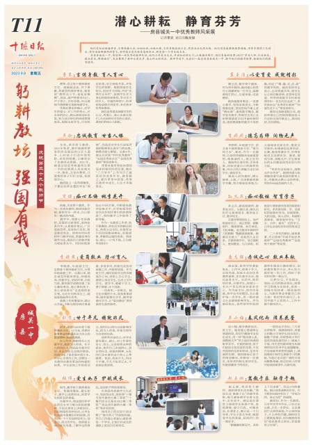 T11版导读