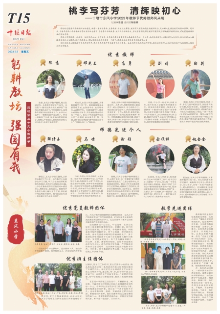 T15版导读