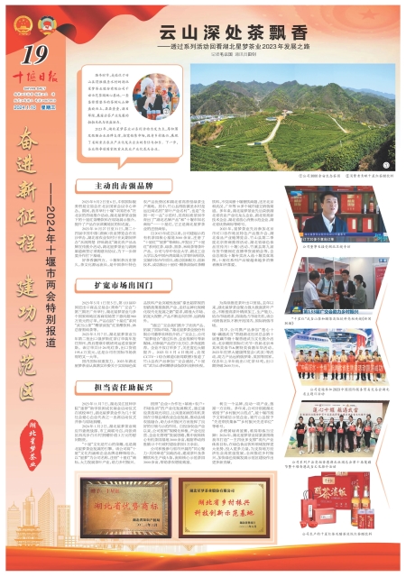 A19版导读