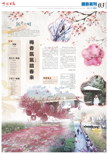 A03版导读