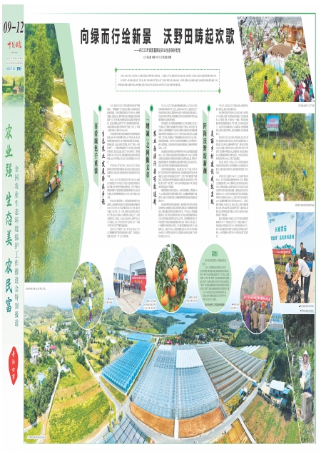A12版导读