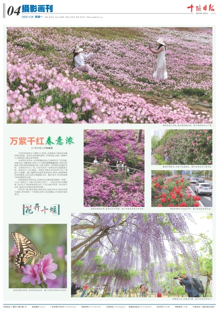 A04版导读