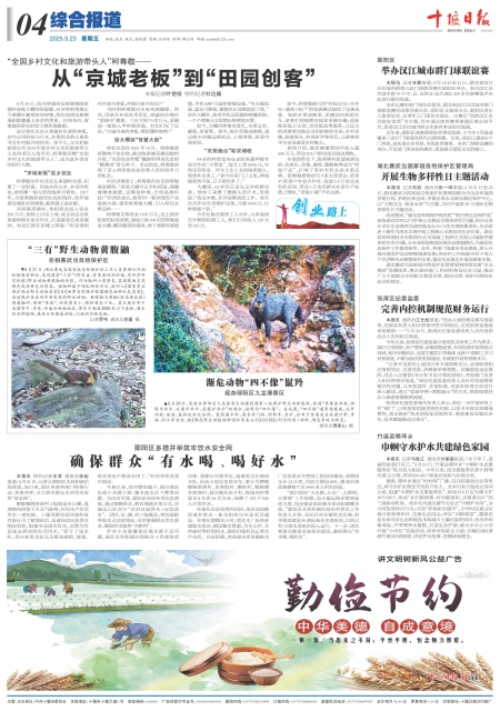 A04版导读