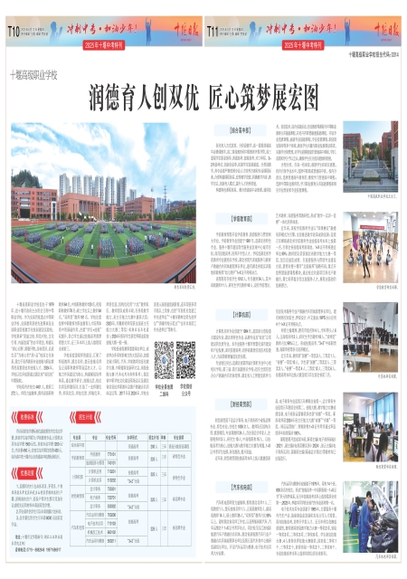 T11版导读