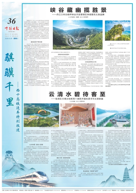 A36版导读