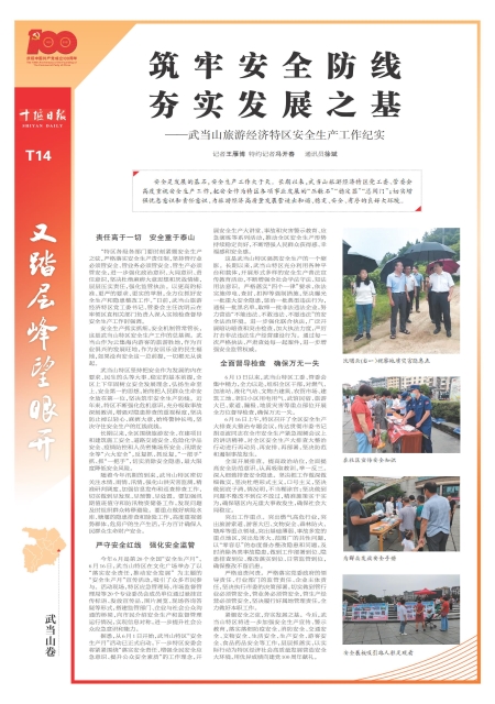 T14版导读
