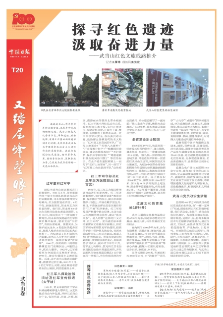 T20版导读