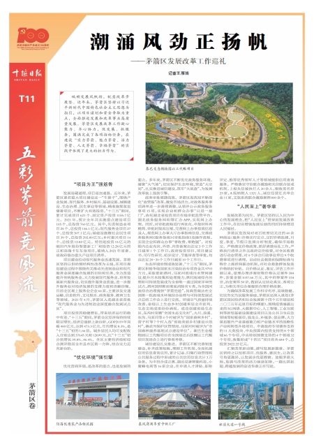 T11版导读