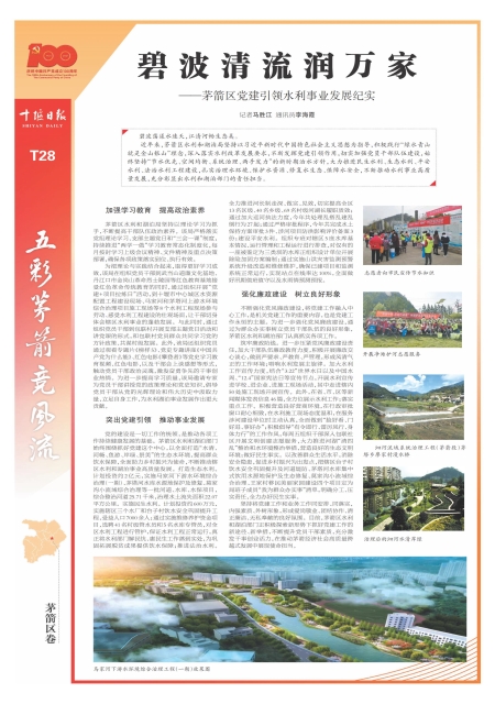 T28版导读