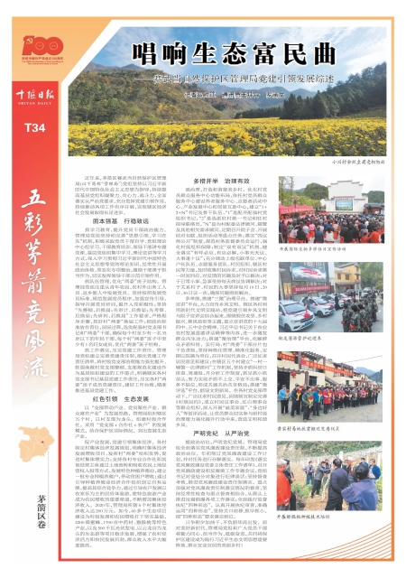 T34版导读