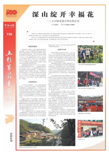 T35版导读