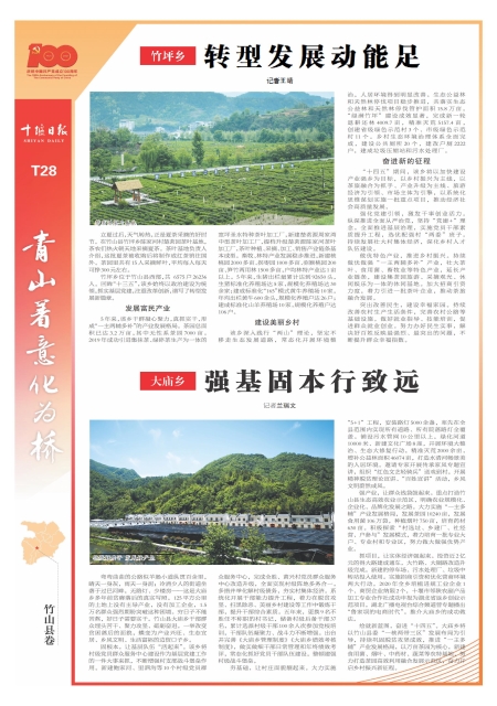 T28版导读