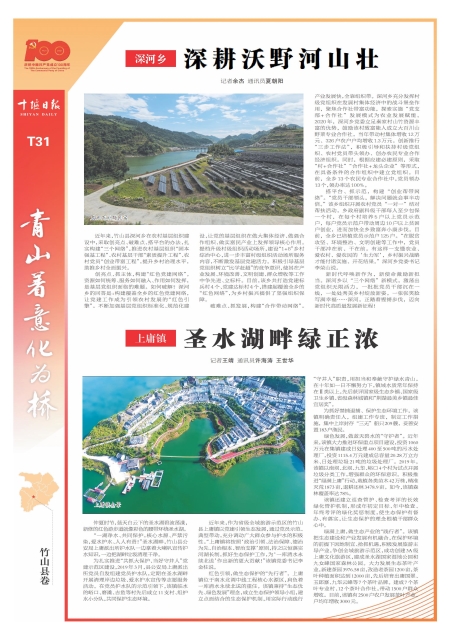 T31版导读