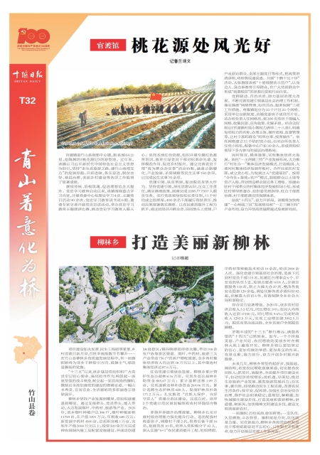 T32版导读