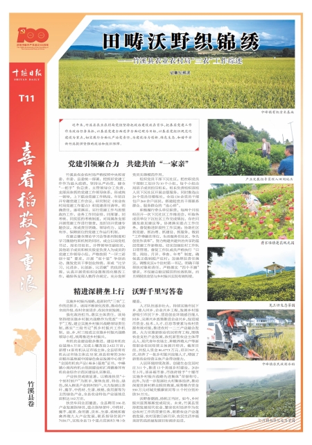 T11版导读