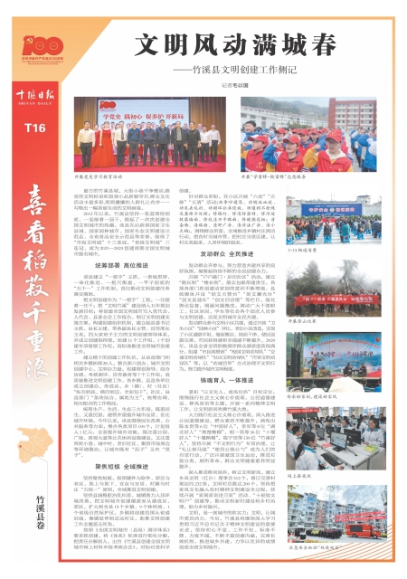 T16版导读