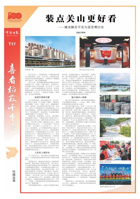 T17版导读