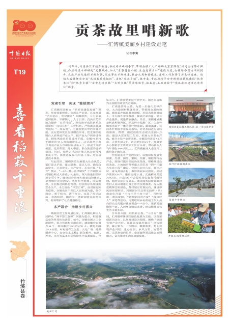 T19版导读