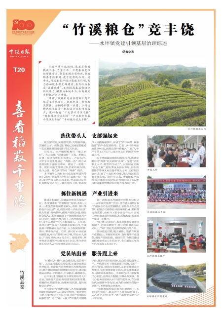 T20版导读