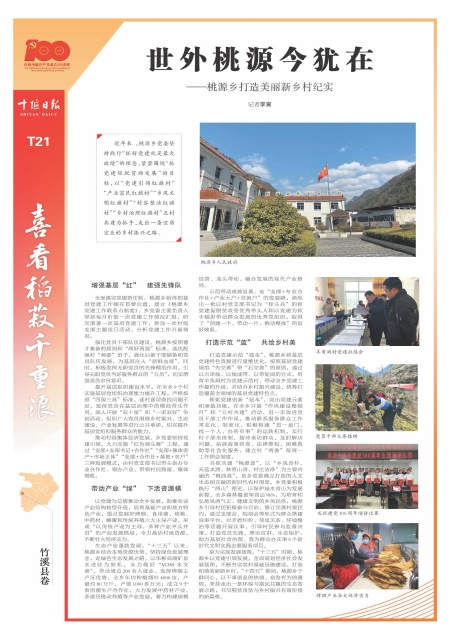 T21版导读