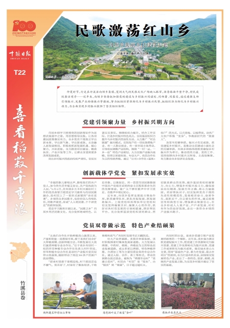 T22版导读