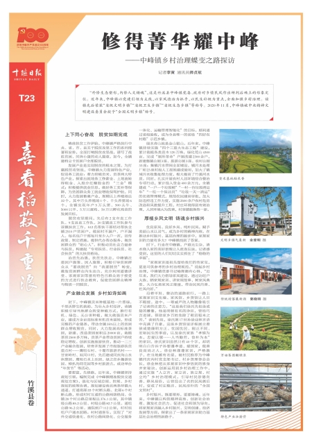 T23版导读