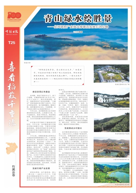 T25版导读
