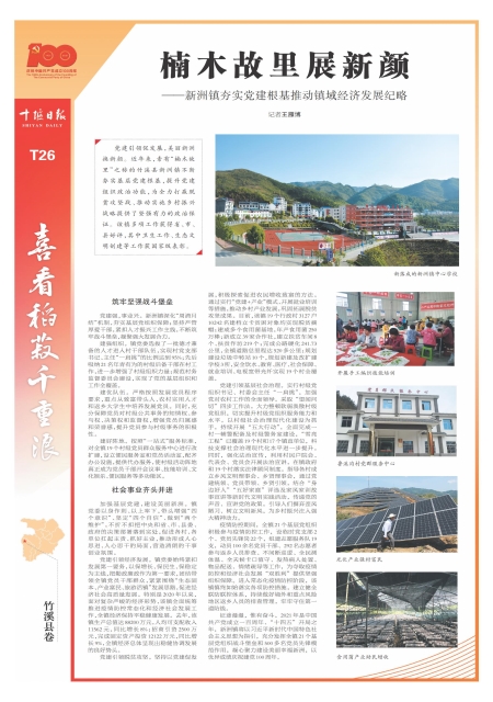 T26版导读