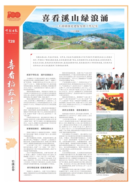 T28版导读