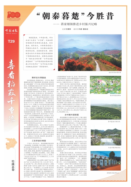 T29版导读