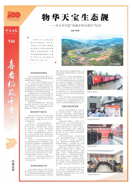 T30版导读