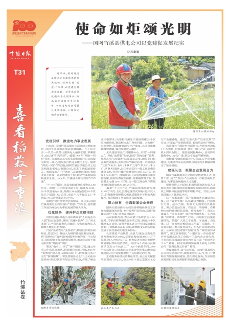 T31版导读