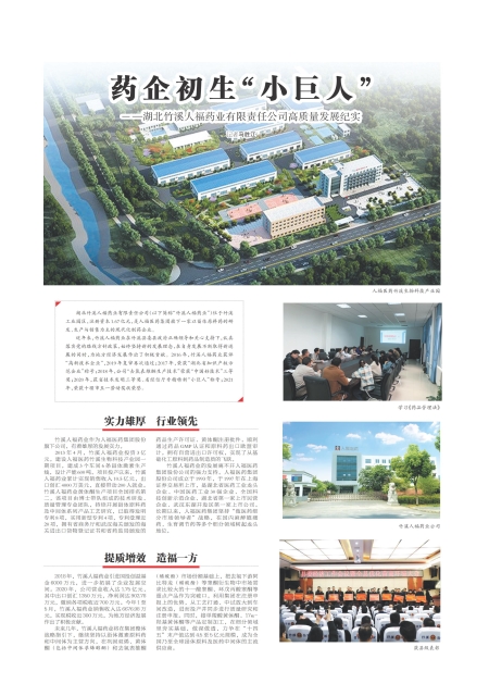 T33版导读