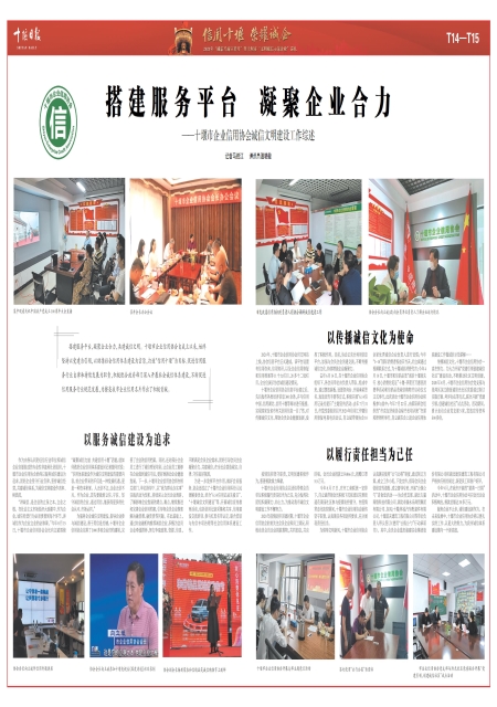 T15版导读