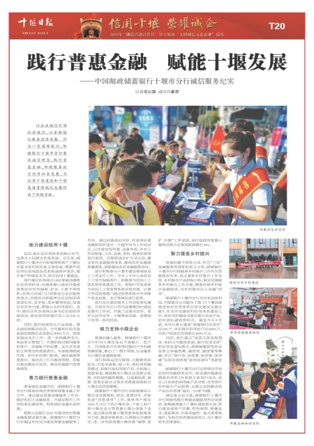 T20版导读