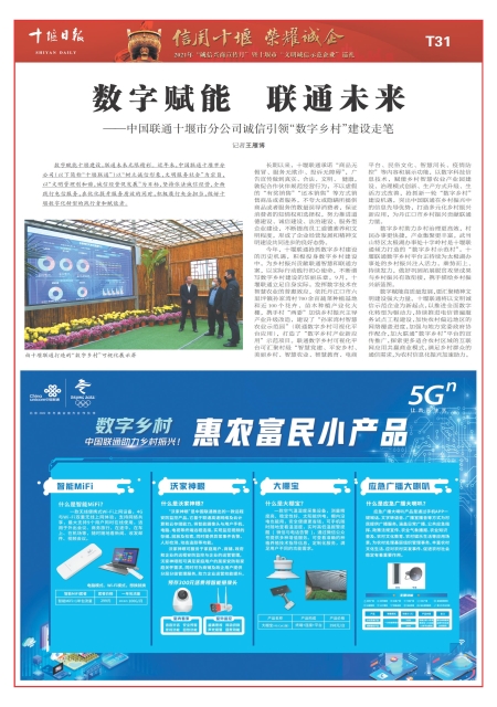 T31版导读