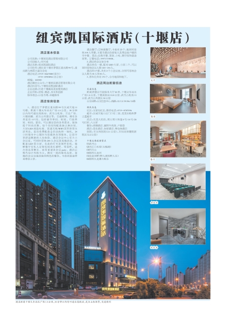 T81版导读