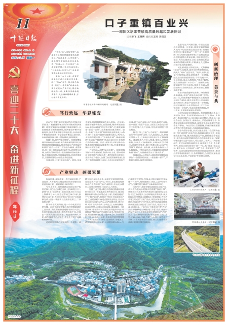 A11版导读