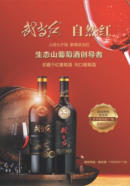 T00版导读