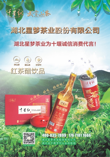 T46版导读