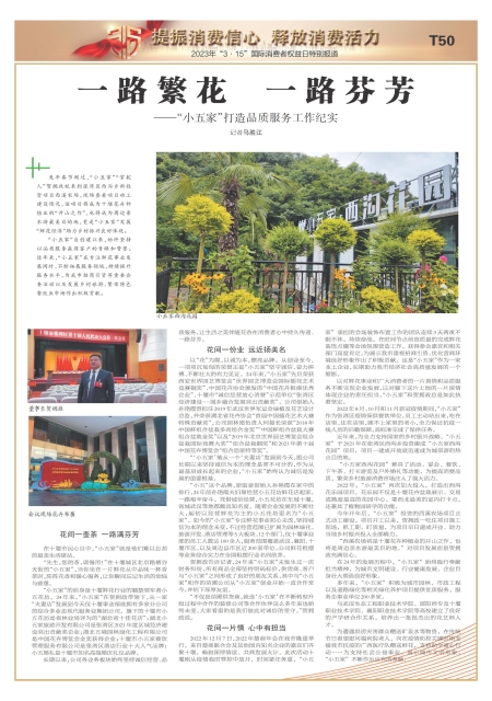 T50版导读