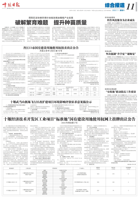 A11版导读
