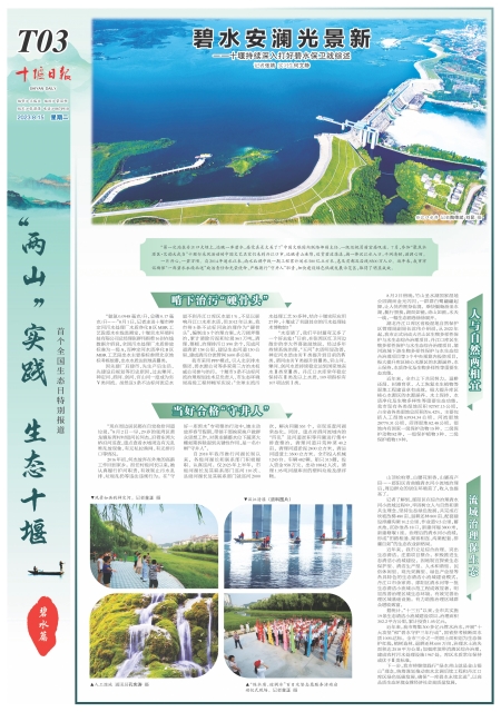 T03版导读