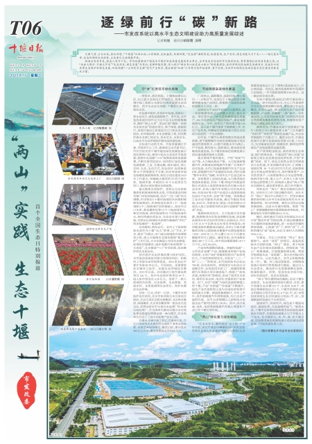 T06版导读