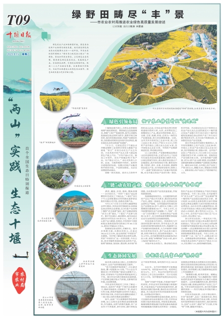 T09版导读
