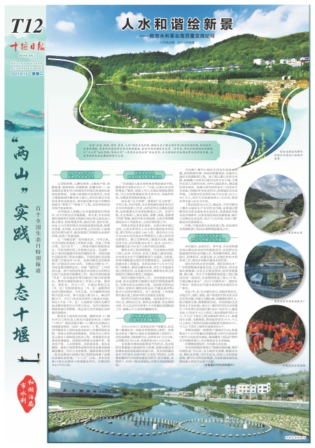 T12版导读