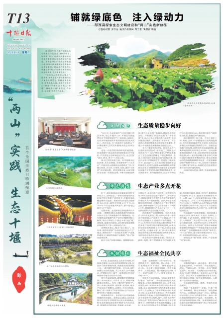 T13版导读