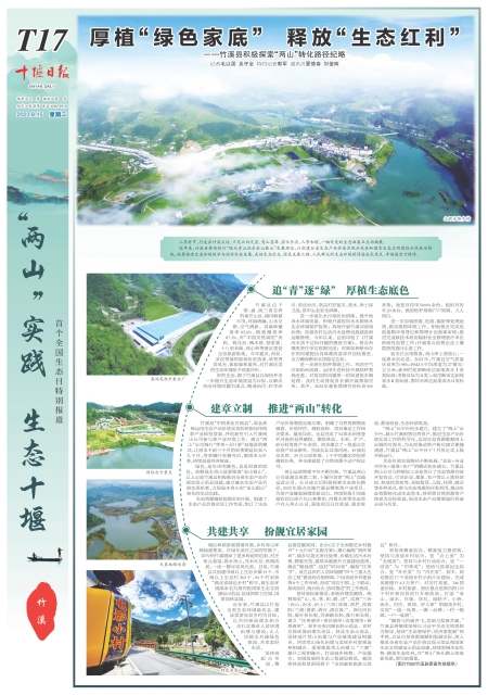 T17版导读