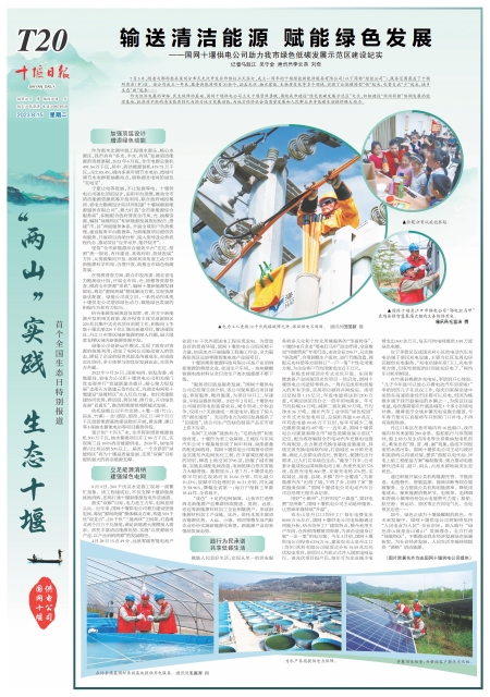 T20版导读